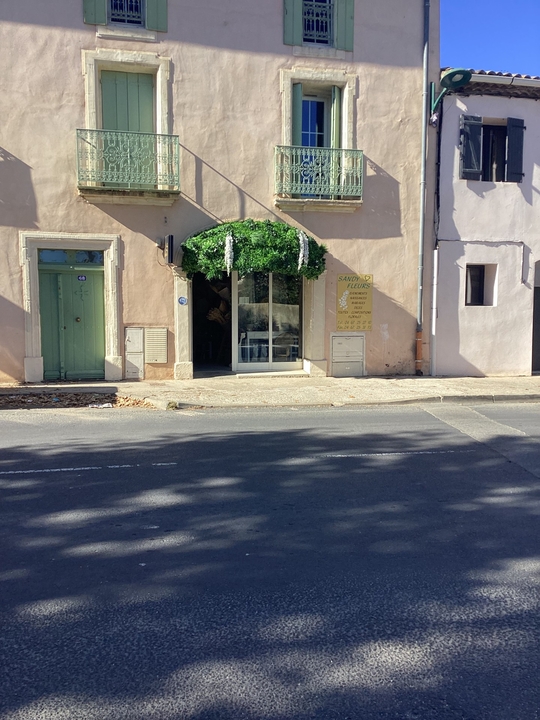 Sandy Fleurs, 68 Cours national, 34230 Paulhan