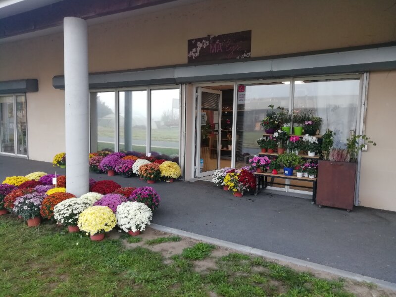 Ma'Lys Fleuriste, 3 Rue des Chênes, 33350 Saint-Magne-de-Castillon