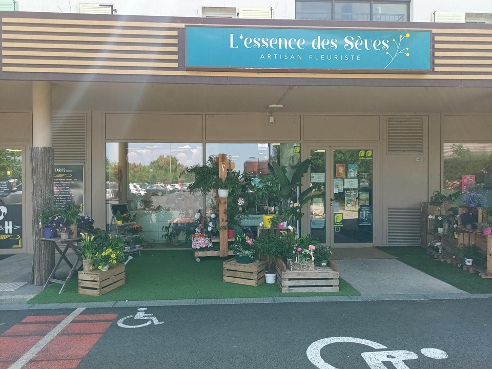Essence des Seves Centre Commercial Carrefour, 2 Rue du 8 Mai 1945, 31140 Pechbonnieu