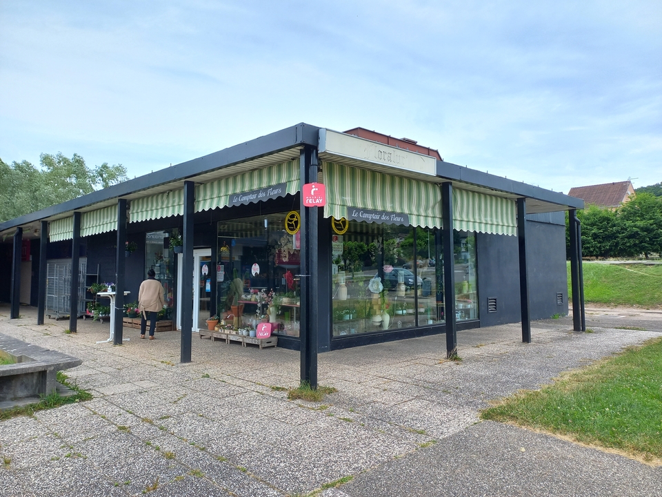 Le Comptoir des Fleurs, 1 Boulevard du Parc, 70200 Lure