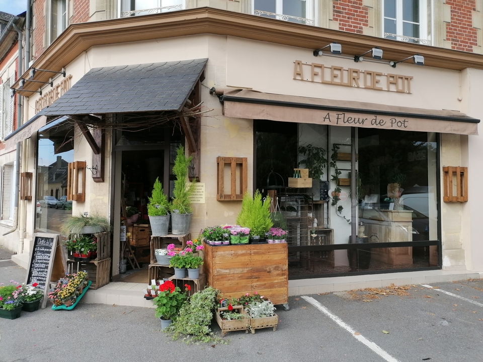 A Fleur de Pot, 10 Place du Gén de Gaulle, 60420 Maignelay-Montigny