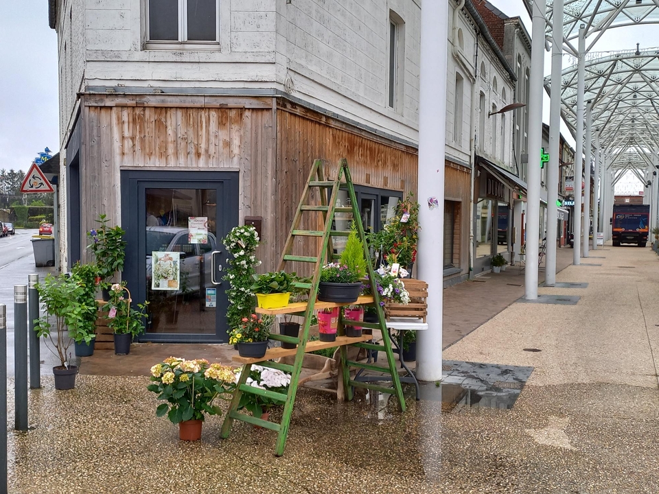 Nature et Poesie, 34 Rue Paul Vaillant Couturier, 59620 Aulnoye-Aymeries