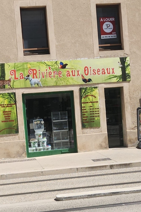 La Riviere aux Oiseaux, 73 Avenue Saint-Ruf, 84000 Avignon