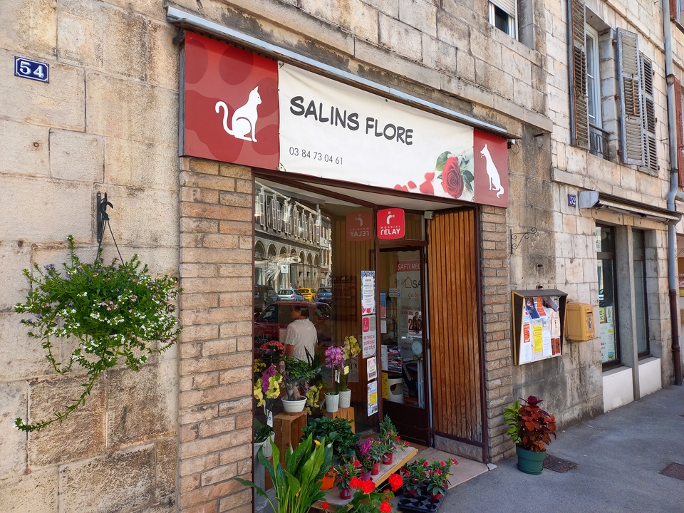 Salins Flore, 54 Rue de la République, 39110 Salins-les-Bains