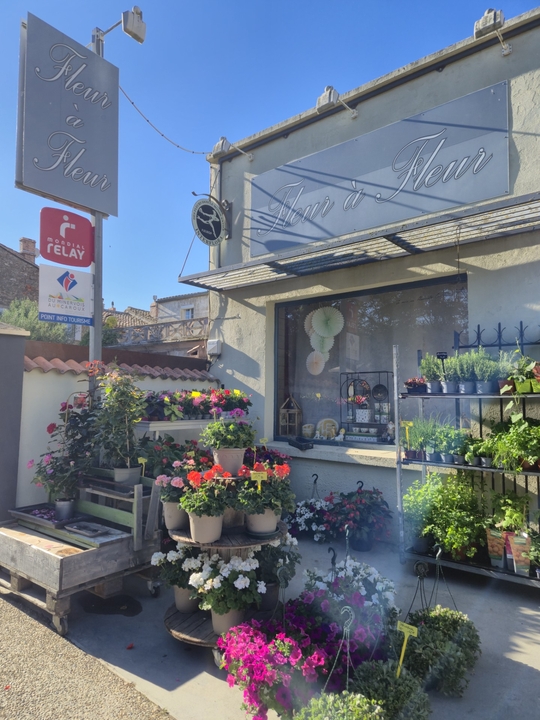 Fleur A Fleur, 28 Avenue de Béziers, 34210 Olonzac