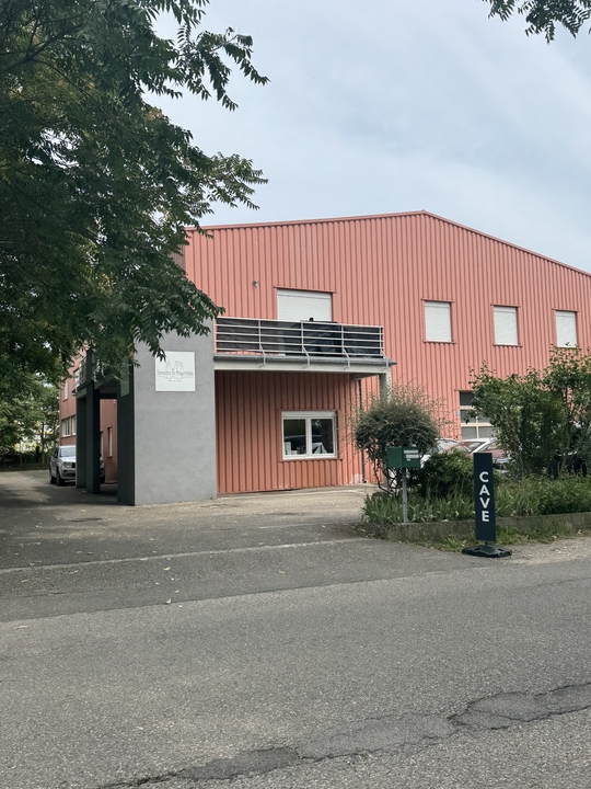 Terroirs et Propriétés, 31 Rue de l'Abattoir, 68150 Ribeauvillé