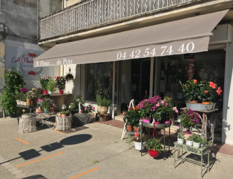 Carrol Fleurs-A Fleurs de Pot, 53 Av Maurice Plantier, 13770 Venelles