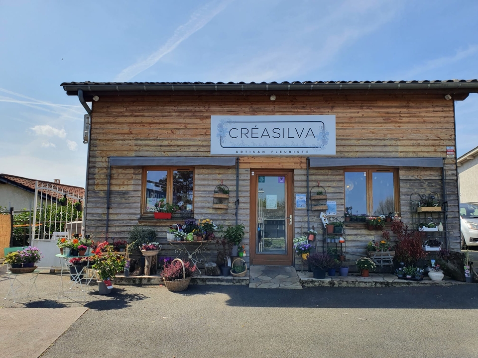 Creasilva, 2315 Route de Longsard, 69400 Arnas