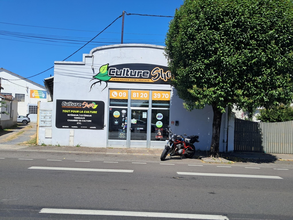 Culture Shop, 41 Avenue Jean Jaurès, 65800 Aureilhan