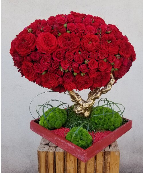 A la Pivoine, 18 Rue de Turenne, 68000 Colmar
