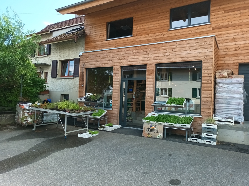 La Ferme du Pfaffenbach Wolschwiller, 13 Rue d'Oltingue, 68480 Wolschwiller