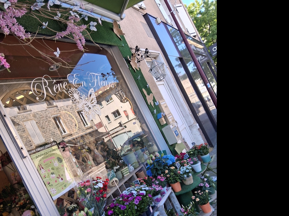 Reve en Fleurs, 36 Avenue Général Leclerc, 38540 Heyrieux
