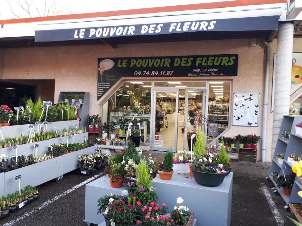 Le Pouvoir des Fleurs, 1387 Route de Beaurepaire, 38270 St Barthelemy de Beaurepaire