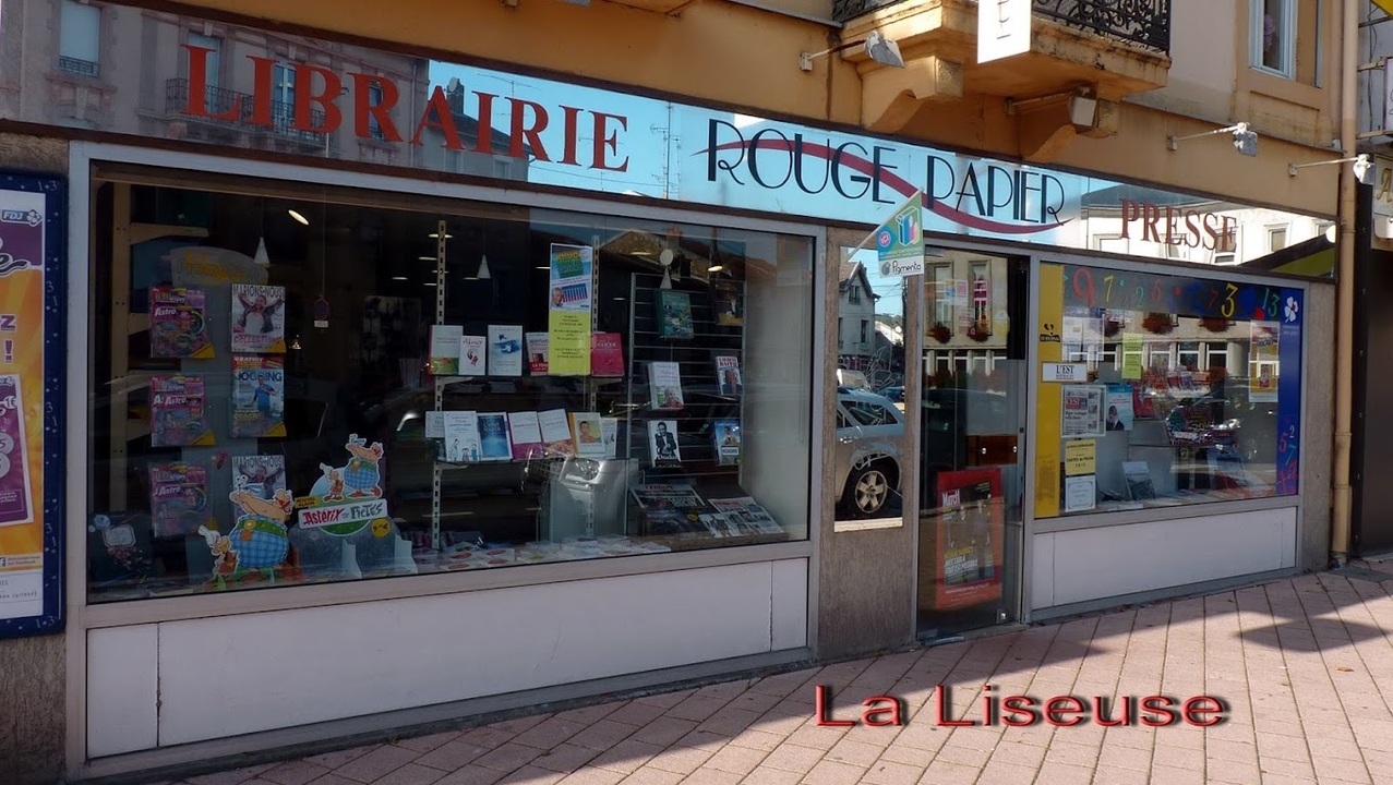 La Liseuse, 96 Rue Gabriel Péri, 54110 Dombasle-sur-Meurthe