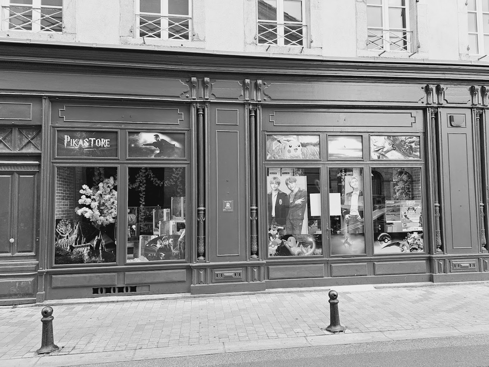 Pikastore, 23 Rue du Docteur Albert Tomey, 11000 Carcassonne