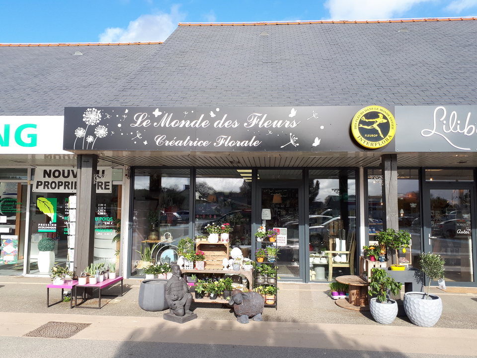 Le Monde des Fleurs, 98 Rue de Rennes, 35340 Liffre