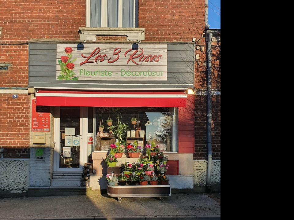 Les 3 Roses Roisel, 3 Rue Pierre Curie, 80240 Roisel