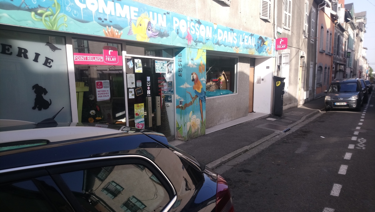 Comme Un Poisson Dans l Eau Animalerie, 11 Rue de la Republique, 65200 Bagneres de Bigorre