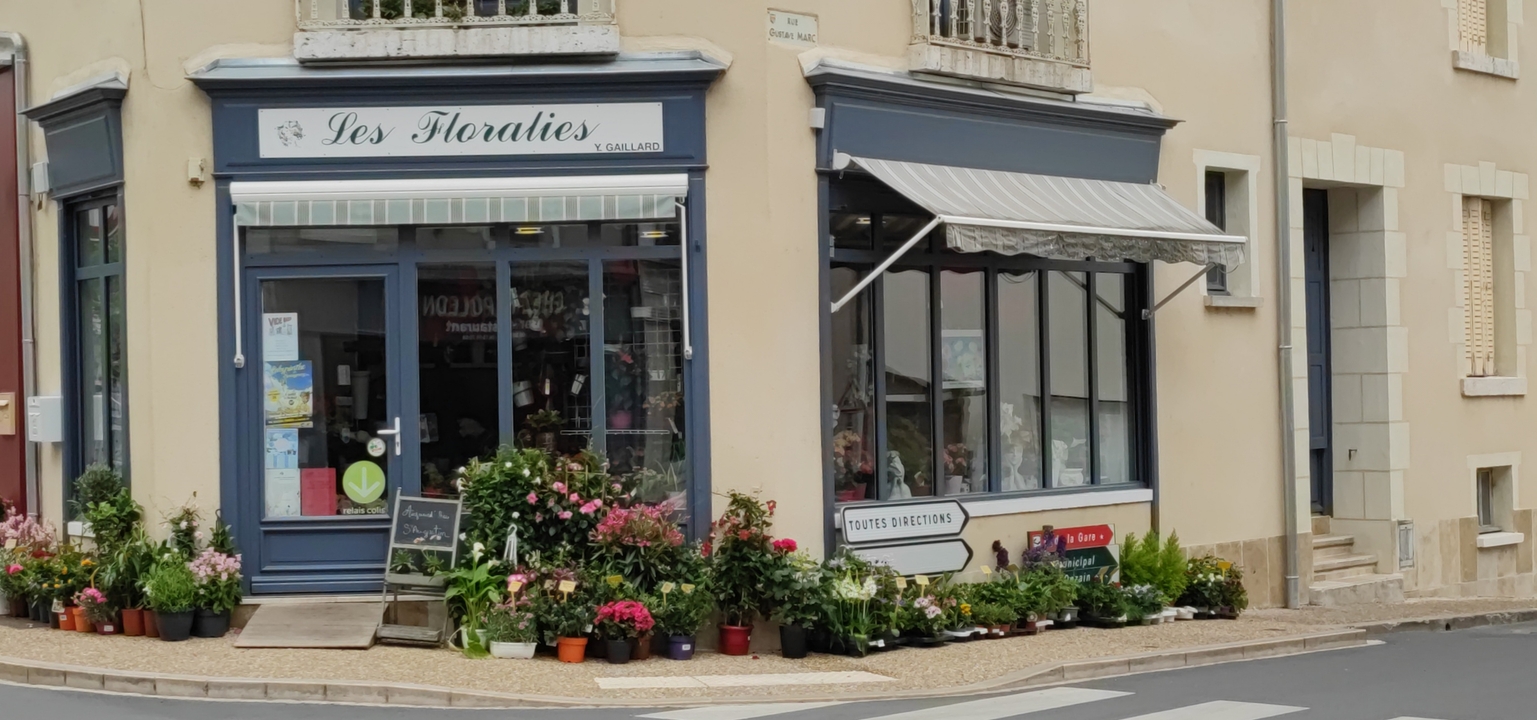 Les Floralies, 13 Grande Rue, 41150 Veuzain sur Loire
