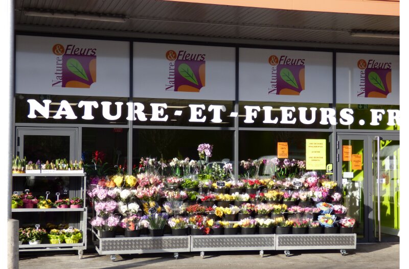 Nature et Fleurs, 240 Boulevard Etienne Clémentel, 63100 Clermont-Ferrand