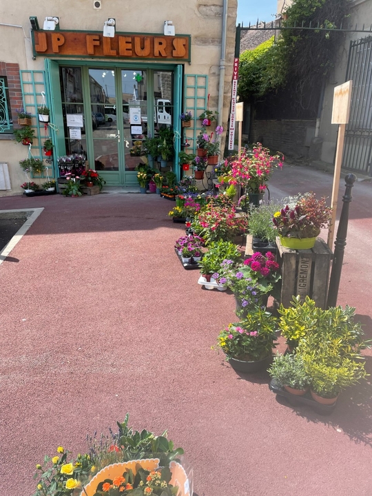 Au Pont Fleuri, 12 Rue Carnot, 89140 Pont-sur-Yonne