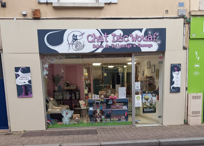 Chat Dec'Wouaf, 30 Rue Saint-Lazare, 49100 Angers