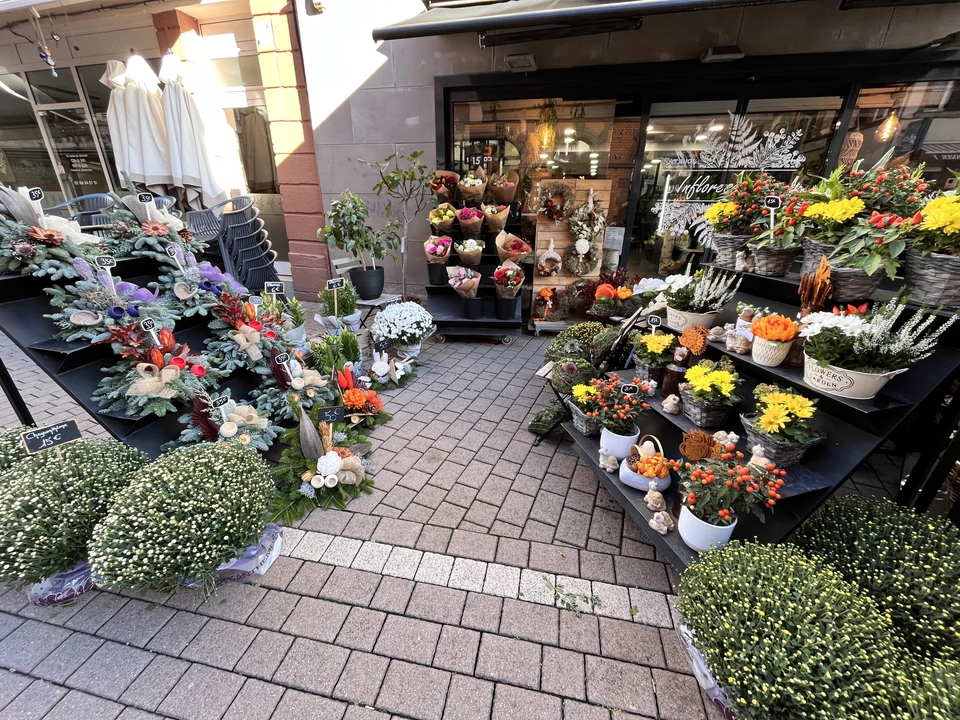 Inflorescence Haguenau, 24 Grand Rue, 67500 Haguenau