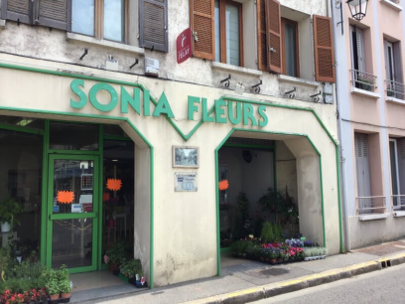 Sonia Fleurs 8h30 - 19h30, 98 Rue de Paris, 95270 Viarmes