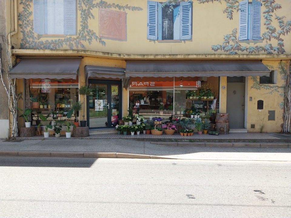 Le Shop Fleuri, 59 Avenue du 8 Mai 1945, 07370 Sarras