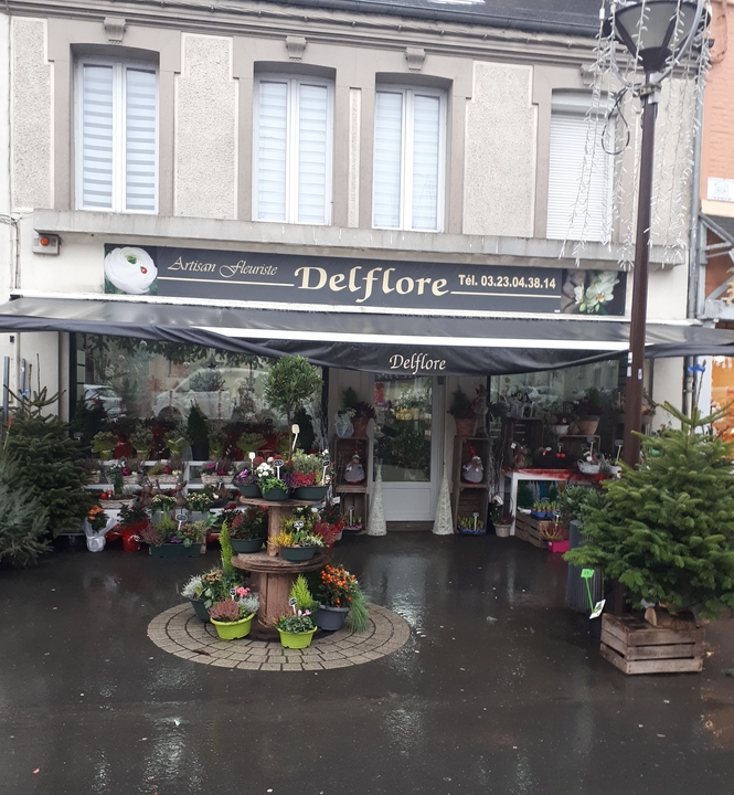 Delflore, 34 Rue de la République, 02110 Bohain-en-Vermandois