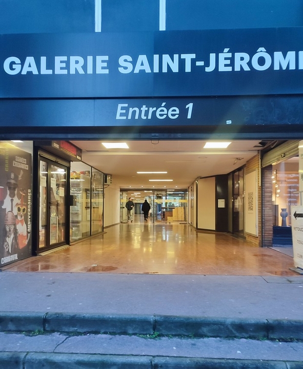 Retik 243 Multiservices, 14 Rue Maurice Fonvieille, 31000 Toulouse