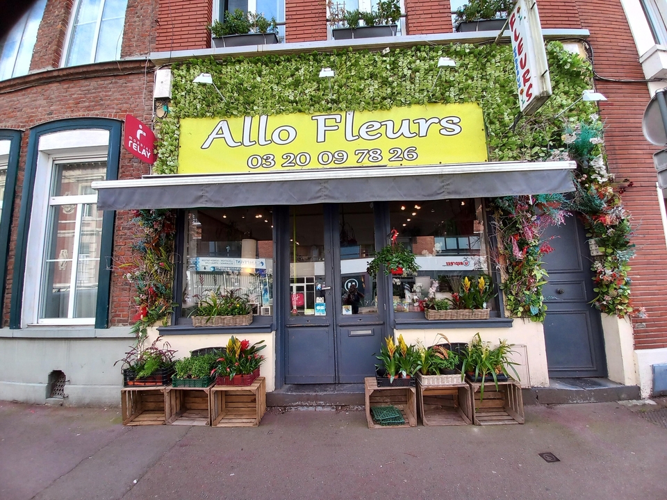 Allo Fleurs, 9 Rue d'Isly, 59000 Lille